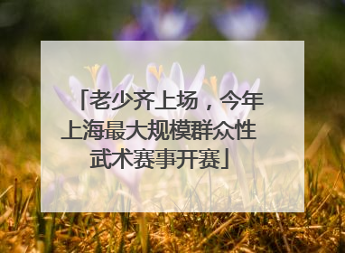 老少齐上场，今年上海最大规模群众性武术赛事开赛