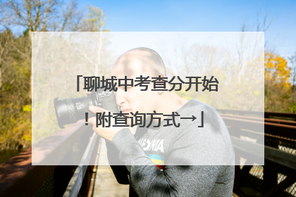 聊城中考查分开始！附查询方式→