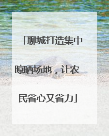 聊城打造集中晾晒场地，让农民省心又省力