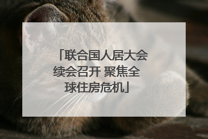 联合国人居大会续会召开 聚焦全球住房危机