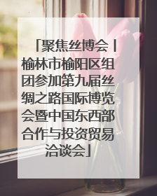 聚焦丝博会丨榆林市榆阳区组团参加第九届丝绸之路国际博览会暨中国东西部合作与投资贸易洽谈会