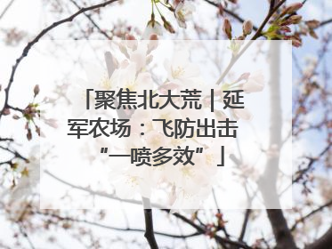 聚焦北大荒｜延军农场：飞防出击 “一喷多效”