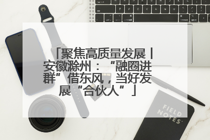 聚焦高质量发展丨安徽滁州：“融圈进群”借东风，当好发展“合伙人”