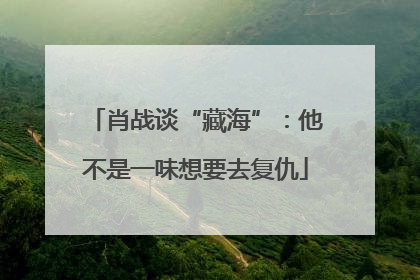 肖战谈“藏海”：他不是一味想要去复仇