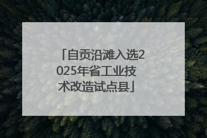 自贡沿滩入选2025年省工业技术改造试点县