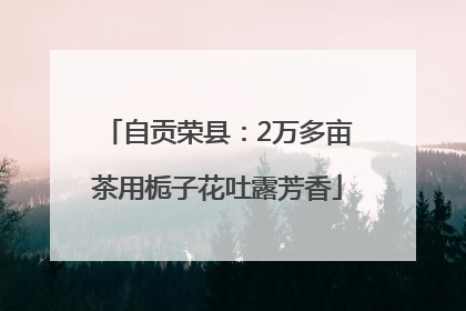 自贡荣县：2万多亩茶用栀子花吐露芳香