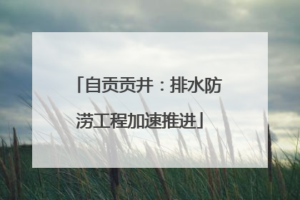 自贡贡井：排水防涝工程加速推进