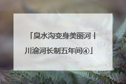 臭水沟变身美丽河丨川渝河长制五年间④