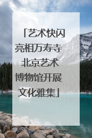 艺术快闪亮相万寿寺 北京艺术博物馆开展文化雅集