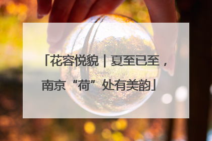花容悦貌｜夏至已至，南京“荷”处有美韵