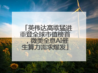 英伟达高歌猛进重登全球市值榜首，微美全息AI催生算力需求爆发