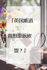 英国难道真想重返欧盟？