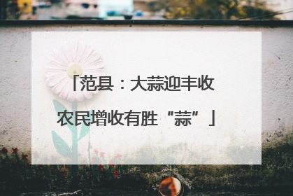 范县：大蒜迎丰收 农民增收有胜“蒜”