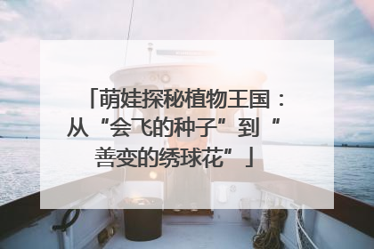 萌娃探秘植物王国：从“会飞的种子”到“善变的绣球花”