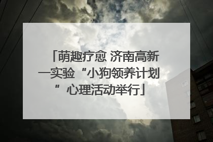 萌趣疗愈 济南高新一实验“小狗领养计划”心理活动举行