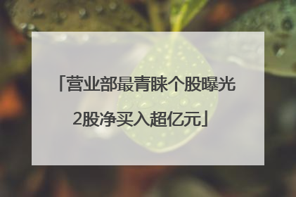 营业部最青睐个股曝光 2股净买入超亿元
