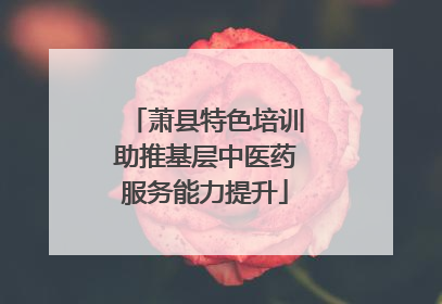 萧县特色培训助推基层中医药服务能力提升
