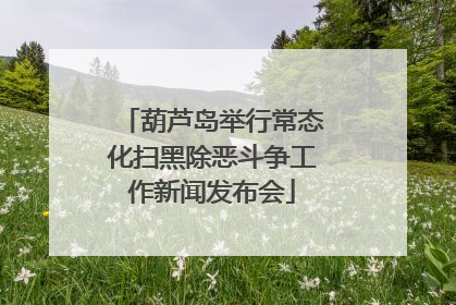 葫芦岛举行常态化扫黑除恶斗争工作新闻发布会