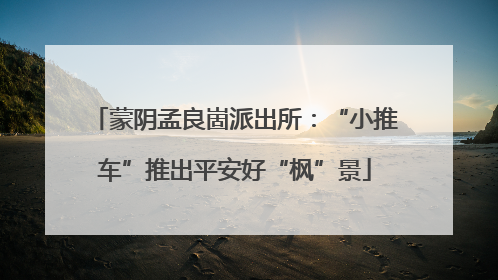 蒙阴孟良崮派出所：“小推车”推出平安好“枫”景
