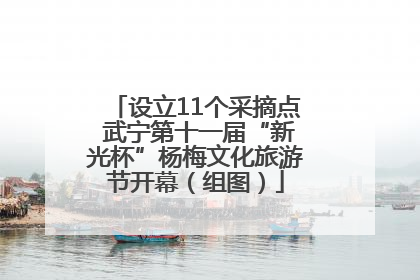 设立11个采摘点 武宁第十一届“新光杯”杨梅文化旅游节开幕（组图）
