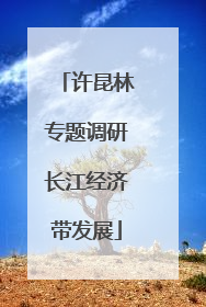 许昆林专题调研长江经济带发展