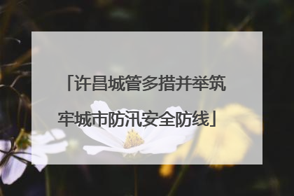 许昌城管多措并举筑牢城市防汛安全防线