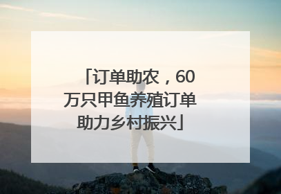 订单助农，60万只甲鱼养殖订单助力乡村振兴