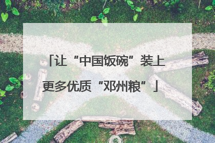 让“中国饭碗”装上更多优质“邓州粮”