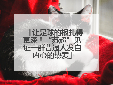 让足球的根扎得更深！“苏超”见证一群普通人发自内心的热爱