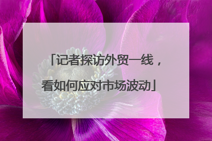 记者探访外贸一线，看如何应对市场波动