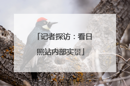 记者探访：看日照站内部实景