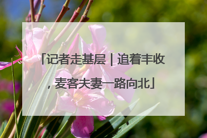 记者走基层｜追着丰收，麦客夫妻一路向北