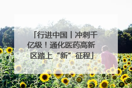 行进中国丨冲刺千亿级！通化医药高新区踏上“新”征程