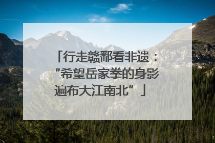 行走赣鄱看非遗：“希望岳家拳的身影遍布大江南北”