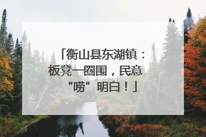 衡山县东湖镇：板凳一圈围，民意“唠”明白！