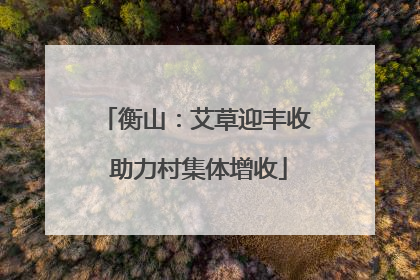 衡山：艾草迎丰收 助力村集体增收