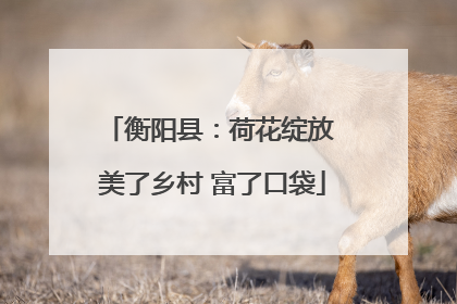 衡阳县：荷花绽放 美了乡村 富了口袋