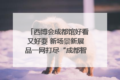 西博会成都馆好看又好耍 新场景新展品一网打尽“成都智造”｜西博视界