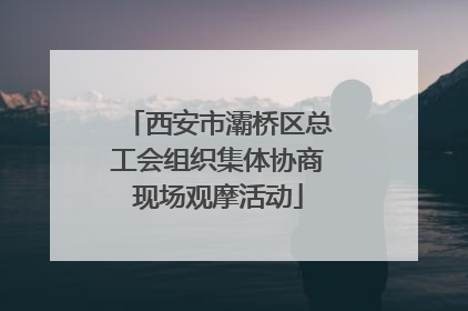 西安市灞桥区总工会组织集体协商现场观摩活动