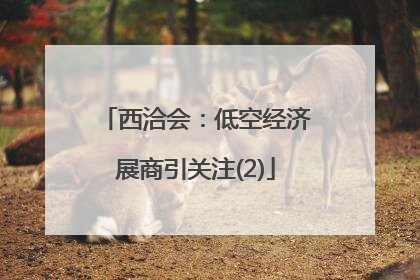西洽会：低空经济展商引关注(2)
