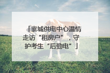 襄城供电中心温情走访“租房户”，守护考生“后勤电”