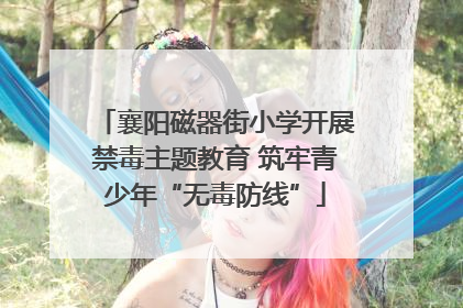 襄阳磁器街小学开展禁毒主题教育 筑牢青少年“无毒防线”