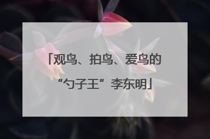 观鸟、拍鸟、爱鸟的“勺子王”李东明