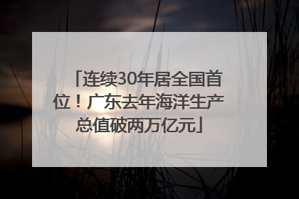 连续30年居全国首位！广东去年海洋生产总值破两万亿元