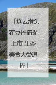 连云港头茬豆丹捕捉上市 生态美食大受追捧