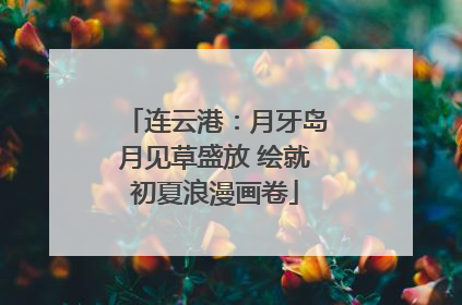 连云港：月牙岛月见草盛放 绘就初夏浪漫画卷