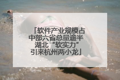 软件产业规模占中部六省总量逾半 湖北“软实力”引来杭州两小龙