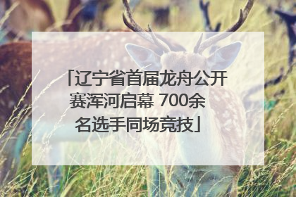辽宁省首届龙舟公开赛浑河启幕 700余名选手同场竞技