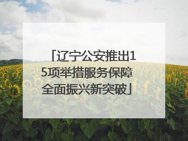 辽宁公安推出15项举措服务保障全面振兴新突破