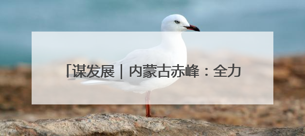 谋发展｜内蒙古赤峰：全力打造祖国北疆亮丽风景线